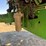 2008-john-deere-7130-image-45