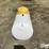 2005-120-gallon-propane-tank-image-2