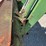 1966-john-deere-4020-image-10