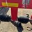 fella-juras-1603-rake-image-34