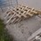 shipping-container-shelving-image-18