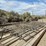 24'-custom-spike-harrow-image-4