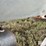bar-6-cake-feeder-image-12