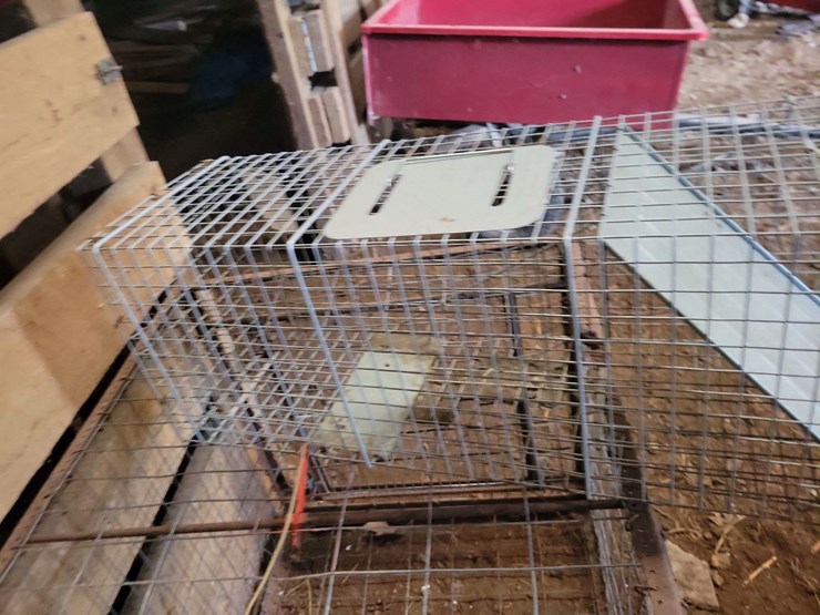 (2)-live-traps,-located-in-shed-image-1