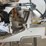 dewalt-12”-compound-miter-saw-(dws715)-image-6