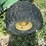 john-deere-gator-image-20