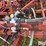 case-ih-4900-image-15