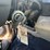 2020-ford-f550-image-13