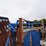 priefert-hg91-head-gate-image-6