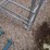 sydell-sheep-hay-feeders-image-10
