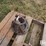 international-1066-image-10