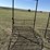3x-atv-cattle-guards-image-3