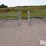 sydell-sheep-hay-feeders-image-2