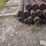 5"x8'-posts-image-10