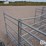 sydell-sheep-hay-feeders-image-12