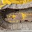 2021-komatsu-d39pxi-24-image-18