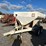 willmar-500-image-2