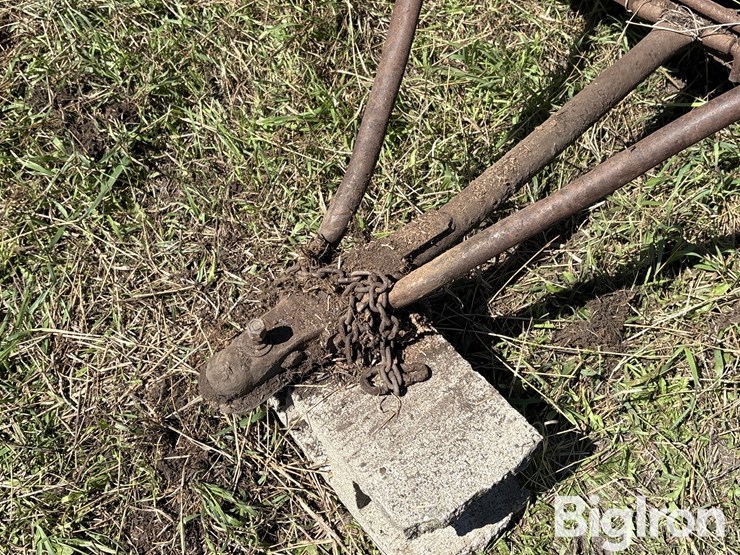 ww-cattle-chute-image-9