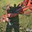 case-ih-4800-image-11