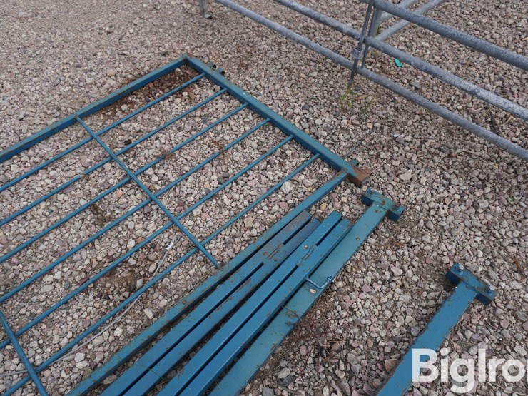 sydell-82"x36"-gate-&-braces-image-14