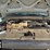 2004-ford-f350-image-17