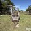 ww-cattle-chute-image-2