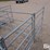 sydell-sheep-hay-feeders-image-14