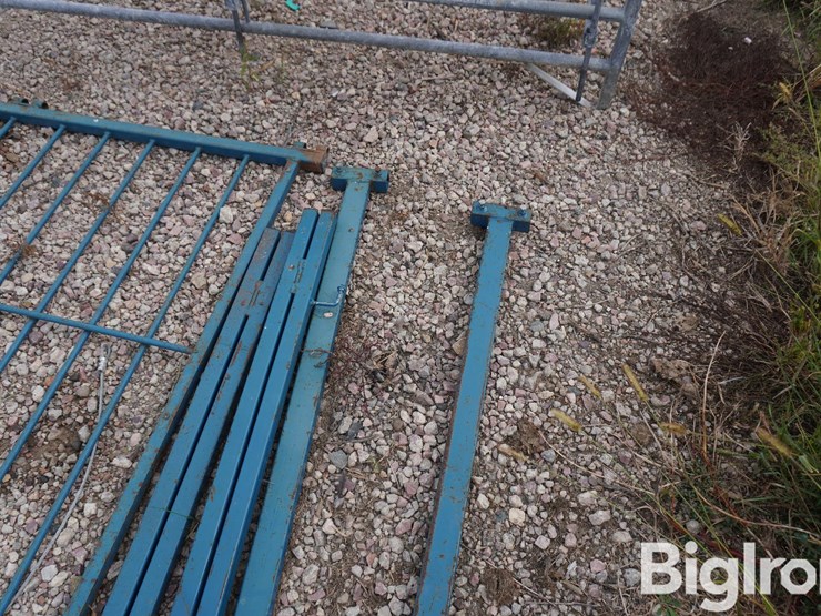 sydell-82"x36"-gate-&-braces-image-13
