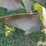 john-deere-rollover-plow-image-17