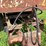 #4478-•-homemade-pin-hitch-dump-box-image-10