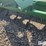2016-frontier-bb2072-image-9