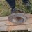international-1066-image-11