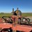 ag-engineering-ripper-image-19