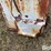 bar-6-cake-feeder-image-9