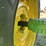 john-deere-4650-image-37