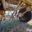 1980-target-pup-grain-trailer-w/dolly-image-20