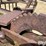 calf-cradle-squeeze-chute-image-18