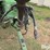 1985-john-deere-347-image-12