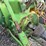 1978-john-deere-2040-tractor-image-29