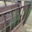 calf-cradle-squeeze-chute-image-13
