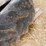 14.9r30-tires-image-8