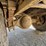 2013-ford-f750-xl-image-44
