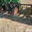 john-deere-2-image-14