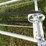 farm-king-10x41-image-12