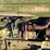 john-deere-70-image-25