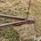 noble-800-image-9