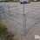 sydell-sheep-hay-feeders-image-5