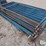 sydell-92"x42"-sheep-pen-panels-image-5