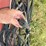 case-ih-4900-image-11