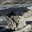 2012-ford-f250-image-6